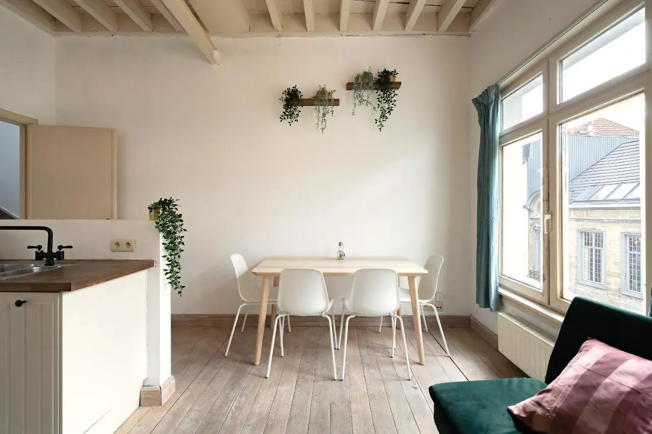 Tempel Cathedral Lodge In The Heart Of Antwerpen Appartement