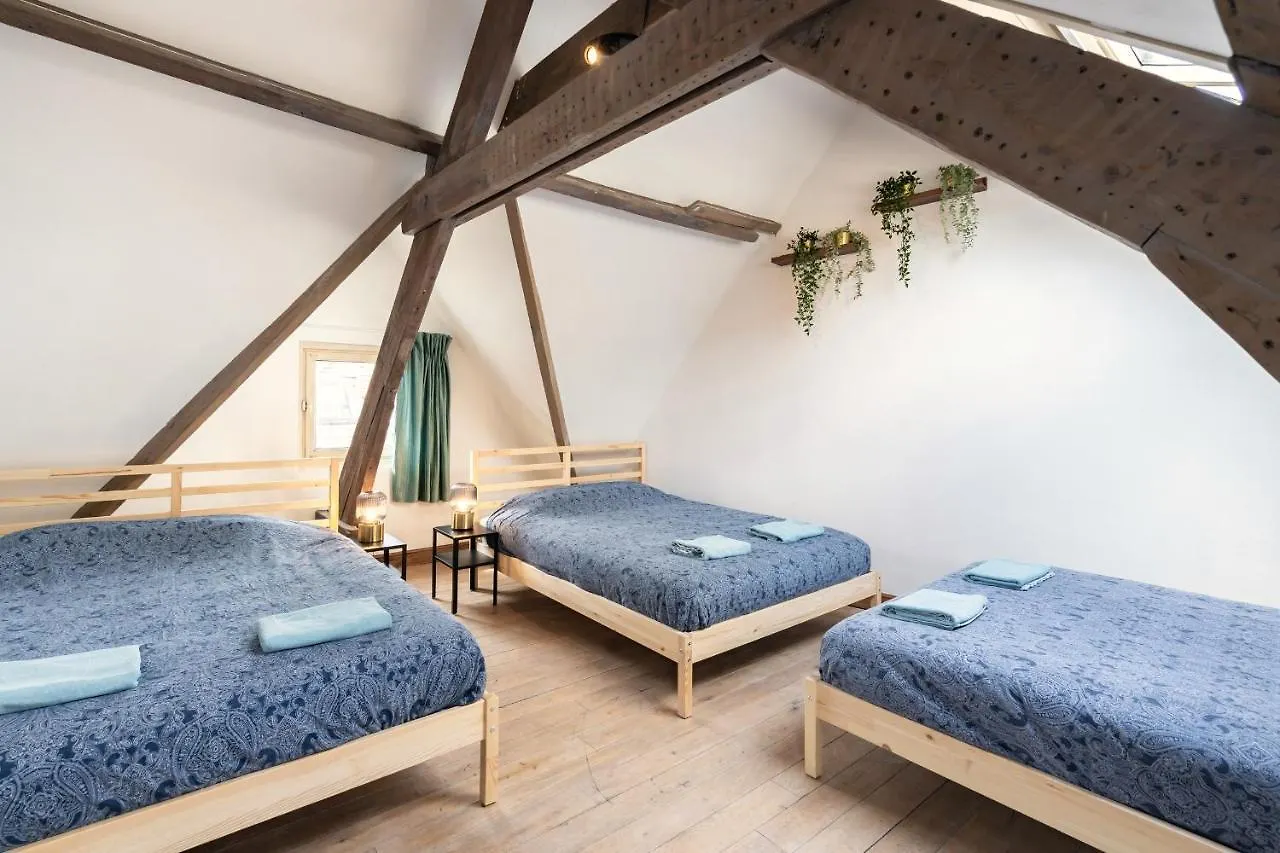 Tempel Cathedral Lodge In The Heart Of Antwerp Apartment